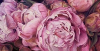 Symphony-in-Pink-24x48-