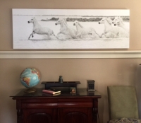 White horses in the study