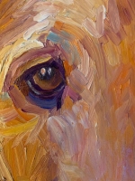 Rusty-detail-eye