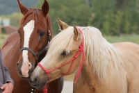 291A9140wpainting-24x36