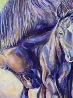 Sopia-and-foal-DETAIL-800x