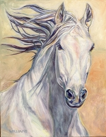 Lusitano Pearl