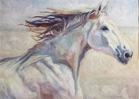 Lusitano Queen