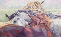 Wild is the Wind