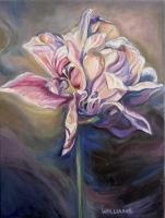 Diane-Stage-4-tulipw