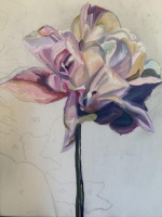 TULIP-stage-3