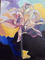 Tulip-Stage-1-background-w